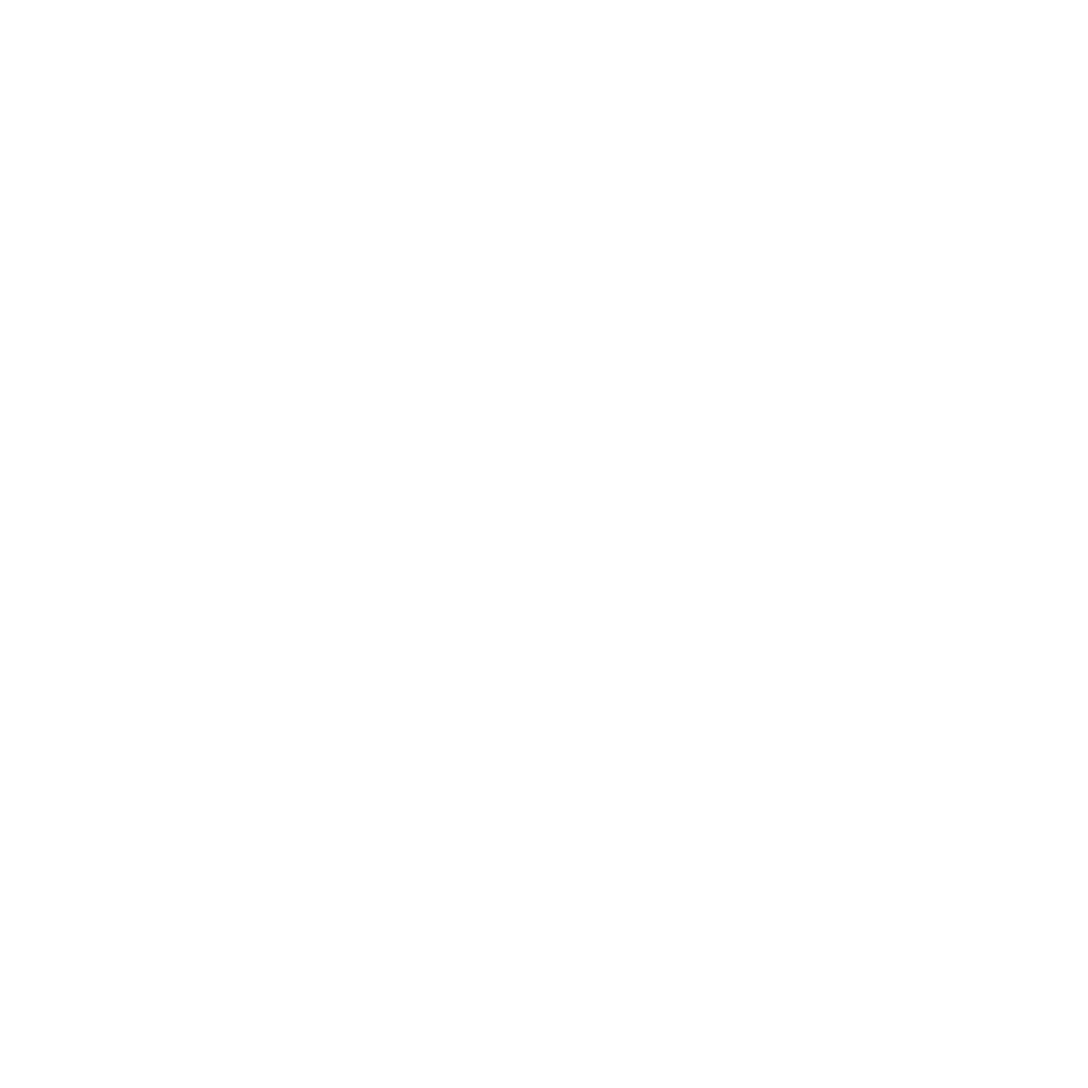 Miami City Ballet logo