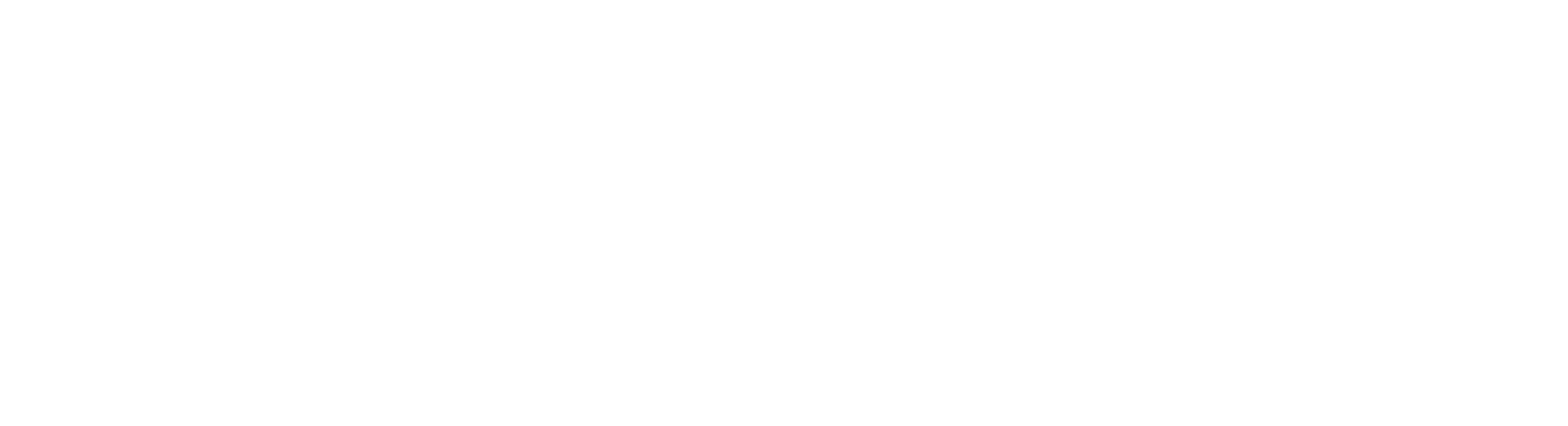 Nader Museum logo